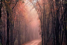 杭州亚残运会开幕式 “刀锋战士”潘俊帆、王广玉君的三次生命线交汇故事杭州亚残运会官网.