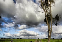 欧博体育：巴萨官方：获市议会批准，诺坎普能每周4天24小时不间断施工.