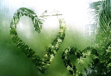 欧博体育：NCAA：普渡大学vs休斯顿大学下半场中文解说回放.