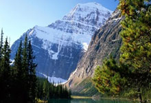 [棋牌]朴廷桓胜芝野虎丸 农心杯元老赛日本双双出局.